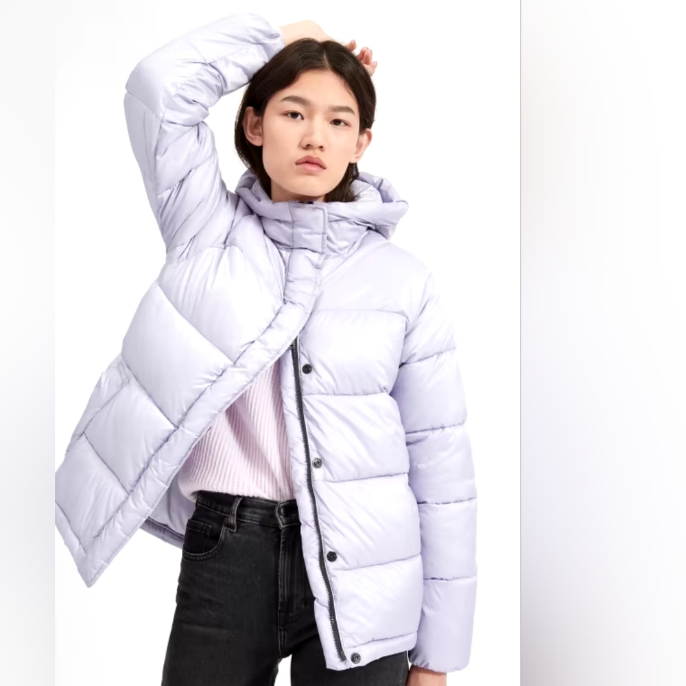 Everlane The ReNew Puffy Puff Jacket